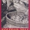 KOLEDAR 2011 (Goriške Mohorjeve)